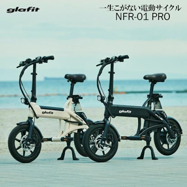 ganbaさま専用】glafit NFR-01 pro (専用カゴ付き) whatfun_glafit-nfr-01