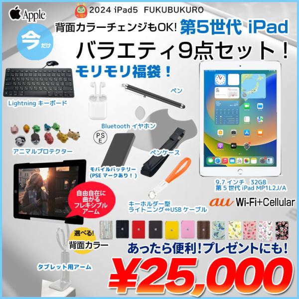第5世代 iPad 便利に使える付属品付もりもり9点福袋 】Apple iPad5 第5 