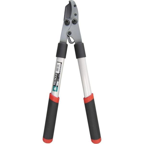 [Release date: October 30, 2017]