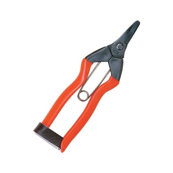 [Release date: October 30, 2017]柿の収穫用の鋏です