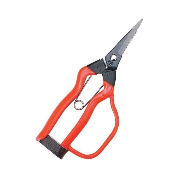 [Release date: October 30, 2017]ガード付の青果鋏です。