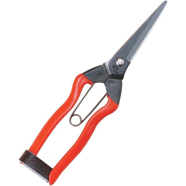 [Release date: October 30, 2017]きゅうりやナス用の青果鋏です。