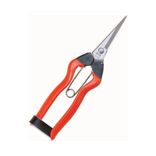 [Release date: October 30, 2017]ステンレス刃の摘果鋏です。