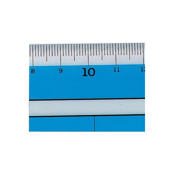 V f[^ǎXP[ 30cm