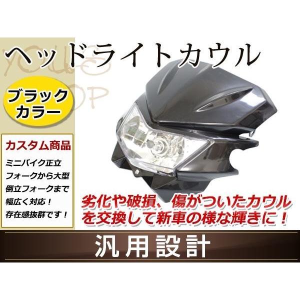 KLX250 Dトラッカー KDX250 KDX125 KSR110 ヘッドライト カウル KLX250 Dトラッカー KDX250 KDX125 KSR110 ヘッドライト カウル