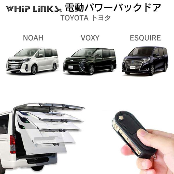 whiplinks_la-atg-noah-01
