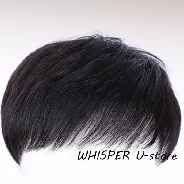 人毛100％ メンズウィッグ フルウィッグ 男性用ウイッグ 自然 ウイッグ