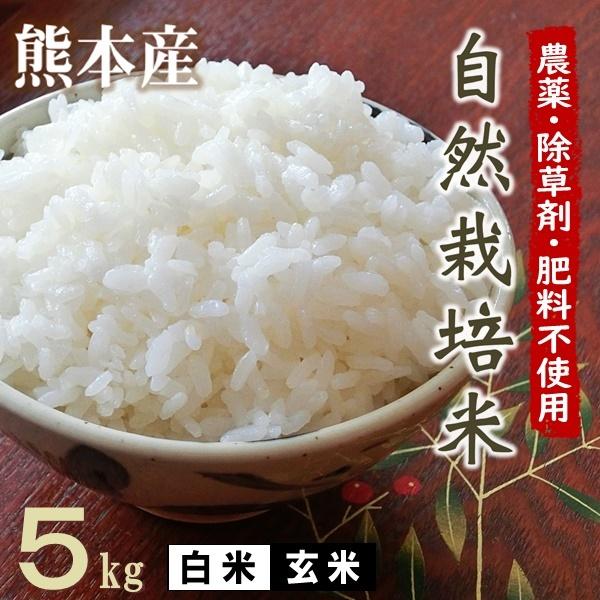 無肥料 自然栽培米 令和5年産 ヒノヒカリ 5kg 農薬化学肥料不使用 白米