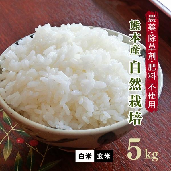 ヒノヒカリ 無肥料 自然栽培米 令和6年産 5kg 農薬化学肥料不 ヒノヒカリ 無肥料 自然栽培米 令和6年産 5kg 農薬化学肥料不