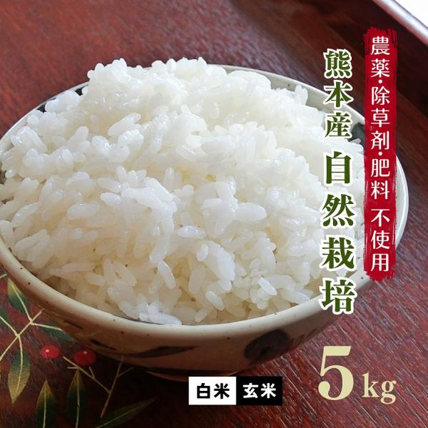 無肥料 自然栽培米 令和5年産 ヒノヒカリ 5kg 農薬化学肥料不使用 白米