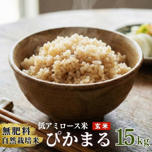 低アミロース米 ぴかまる 15kg 令和7年産 無肥料 自然栽培米 農薬化学肥料不使用 自社農園産 熊本県産 玄米 放射能検査済み
