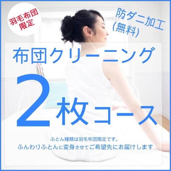 羽毛限定 布団クリーニング 2枚  防ダニ加工 送料無料 布団 ふとんクリーニング 宅配