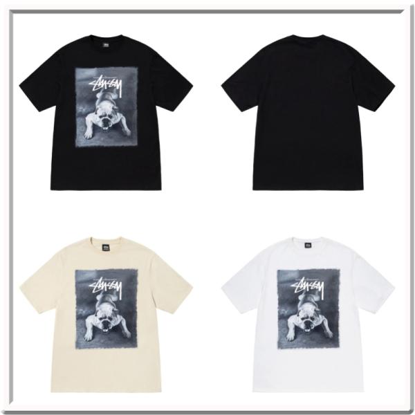 white-wind-shop_1904844