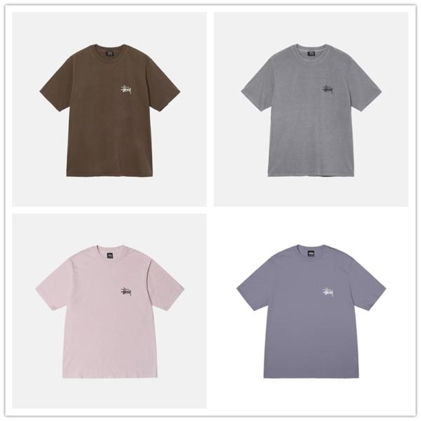STUSSY（ステューシー） STUSSY BASIC PIG. DYED TEE 1904879 メンズ