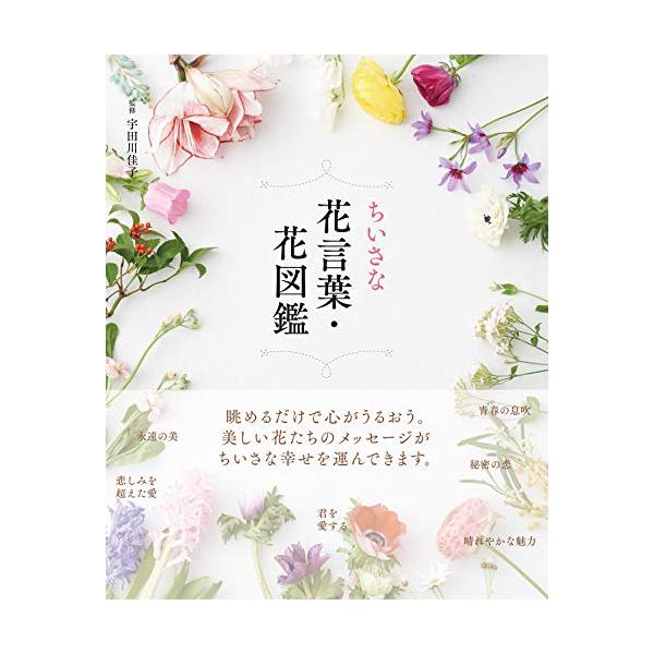 ちいさな花言葉・花図鑑 : White Wings2 - 通販 - Yahoo ちいさな花言葉・花図鑑 : White Wings2 - 通販 - Yahoo