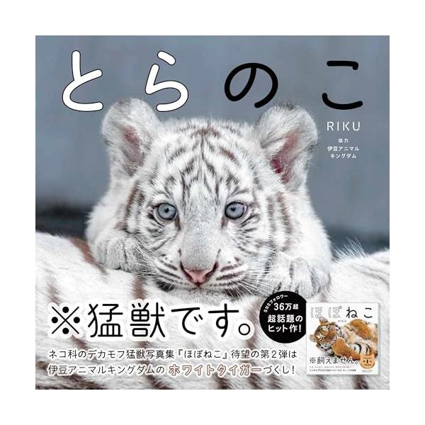 RIKU とらのこ Book