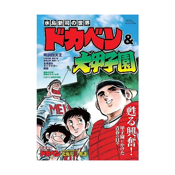 水島新司の世界 ドカベン&大甲子園(サンエイムック) : White 水島新司の世界 ドカベン&大甲子園(サンエイムック) : White