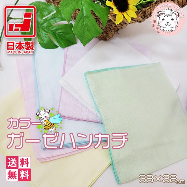 K[[nJ` J[nJ` 10Zbg 唻 2dK[[ { 38cm×38cm