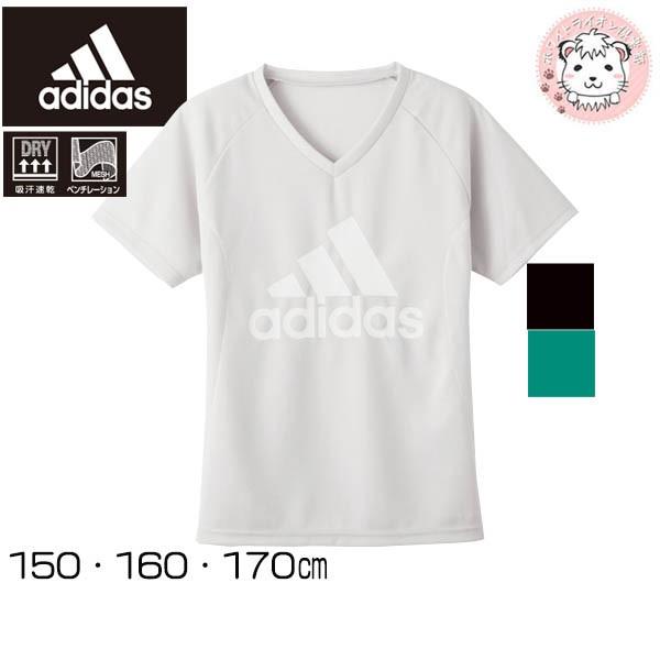 在庫限り グンゼ アディダス Vネックt シャツ Apc4575 85 150cm 170cm Gunze Adidas Adidas ボーイズ キッズ ジュニア アンダーシャツ V首 Apc4575 85 ホワイトライオン倶楽部 通販 Yahoo ショッピング