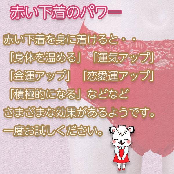 赤下着 赤ショーツ ウエストレース 日本製 M L Ll 綿100 赤パンツ 赤い下着 還暦祝い 保温 還暦 パンツ 赤肌着 申年 レディース 婦人 女性 下着 肌着 インナー Lo 0064 ホワイトライオン倶楽部 通販 Yahoo ショッピング
