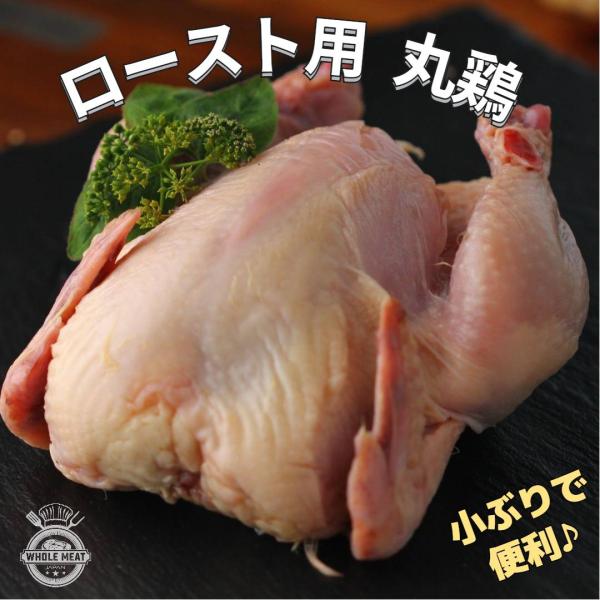 鶏丸どり（生肉） 丸鶏　雛鳥　500g以上　鶏肉　サムゲタン（参鶏湯）アメリカ産　内臓処理済み　クリスマスチキン　ゲームヘン　ロースト　BBQグリル