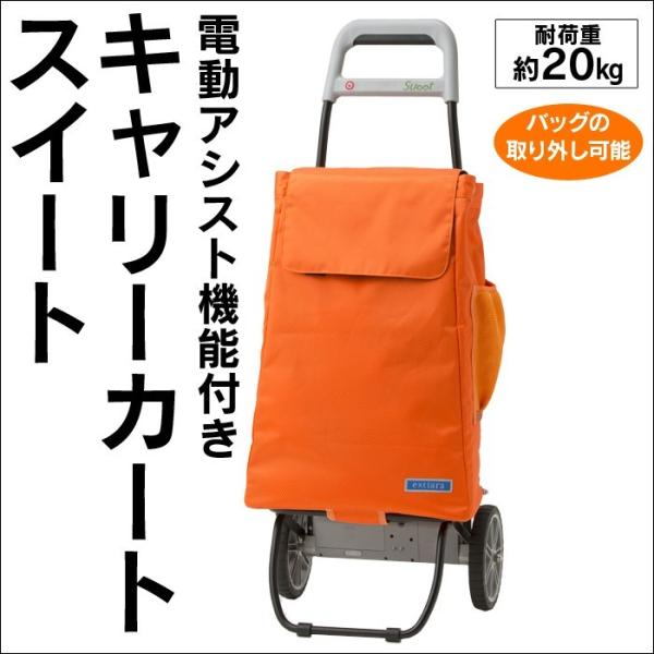 電動アシスト キャリーカート ブラック 生活防水 ライト付き