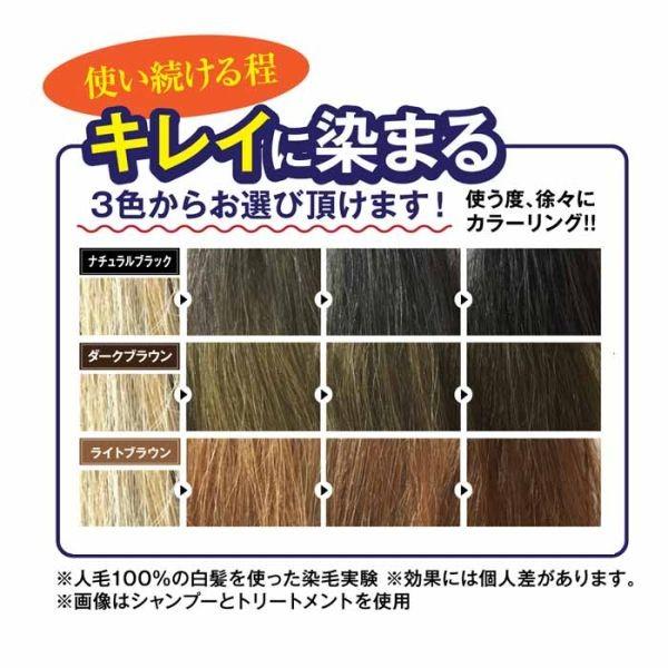 シャンプー 白髪染め 白髪染めシャンプー 300ml 男性 女性 メンズ レディース 利尻昆布シャンプー ヘアカラー 日本製 泡タイプ 利尻昆布エキス配合 ノンシリコン Buyee Buyee Japanese Proxy Service Buy From Japan Bot Online
