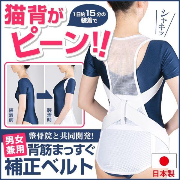 ݌Ɍ w؂܂␳xg Lw΍ { p␳ xg T|[^[ wؕ␳   Y bV  jp ySTKz