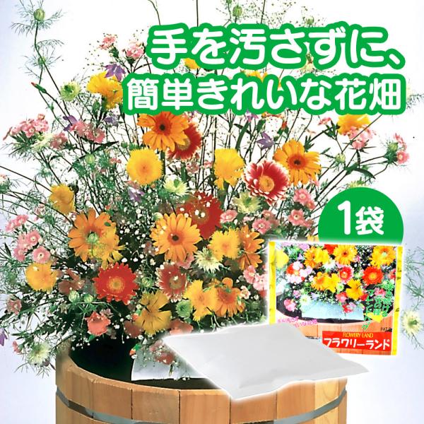 ギフト 花の種 ブレンドパック フラワリーランド 1パック 秋蒔き 春蒔き 栽培 種まき 簡単 ガーデニング 庭造り 珍しい花の種 1 アイデア雑貨1000点以上mono生活 通販 Yahoo ショッピング