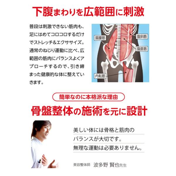 東海テレビ 一番本舗 下腹スリムスイング アクティブ ダイエット器具 お腹 ぽっこりお腹 下腹 腹筋 お腹痩せ ウエスト ひねる 座ったまま プロイデア Proidea Prettyfunnyballoons Com