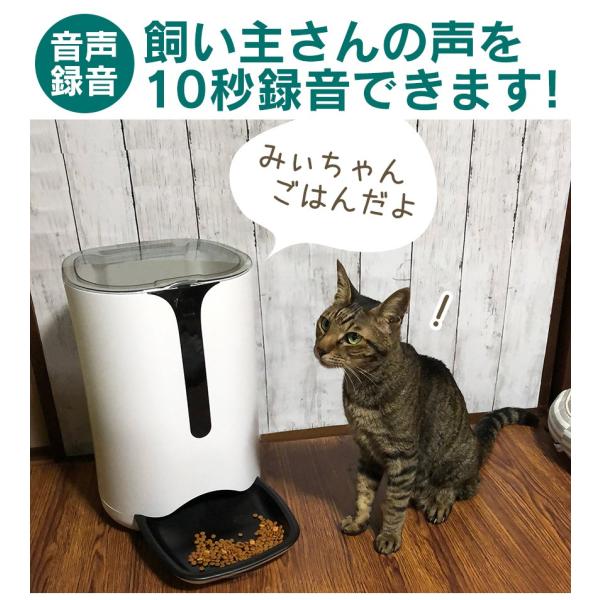 自動餌やり機 猫 猫用 犬 犬用 猫餌 犬餌 自動給餌器 エサ 自動餌やり器 多頭飼い 音が出る 声が出る 音声 ボイスレコーダー付き 音声録音 大容量 6l Buyee Buyee Japanese Proxy Service Buy From Japan Bot Online