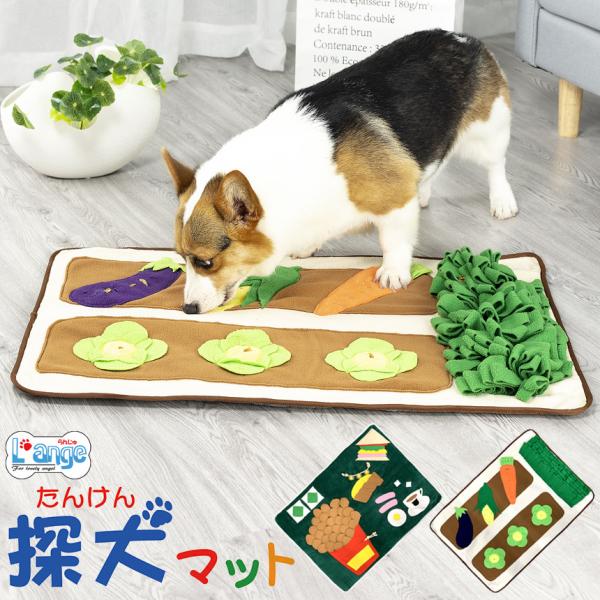 ݌Ɍ   mߋ m[Y[N }bg  ߋ p q V VjA   m XgX ^s L'ange ySTKz