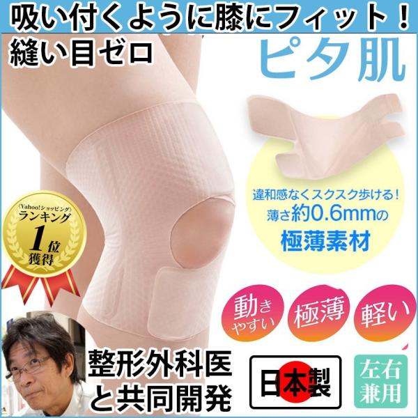 GT|[^[  L  Ҍ җp Gp T|[^[ Ep Gɂ jO EH[LO G̒ɂ ySTKz