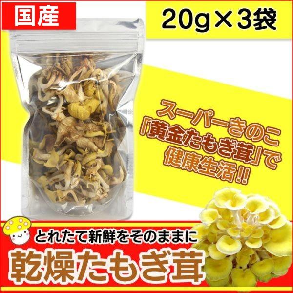 たもぎ茸 たもぎたけ 乾燥 乾燥たもぎ茸 タモギダケ g 3袋 国産 黄金たもぎ茸 黄金タモギタケ 健康食品 健康キノコ 3 暮らしの幸便 通販 Yahoo ショッピング