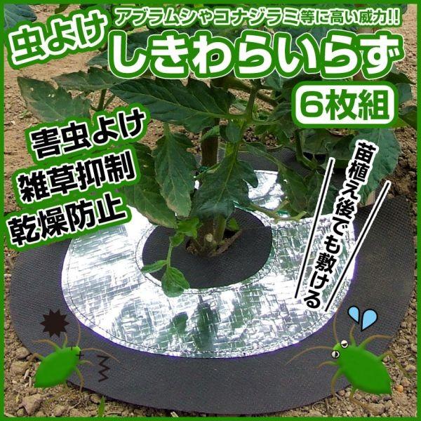 家庭菜園 虫よけ アルミシート6枚セット 虫除け 防虫 カバー 雑草抑制 乾燥防止 農薬不使用 苗植え後 野菜 害虫対策 ハーブ 菜園用 しきわらいらず 6枚組 Buyee Buyee Japanese Proxy Service Buy From Japan Bot Online