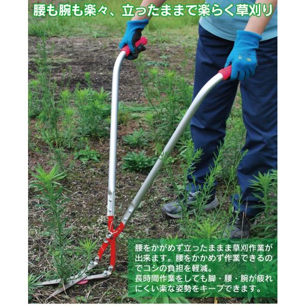 草刈り鋏 ハサミ 立ち作業 はさみ 立刈り 長柄 草刈り機 草むしり 道具 草とり 除草道具 雑草とり 芝刈り機 草取り 家庭用 除草機 手動 芝刈りハサミ 女性 男性 Buyee Buyee Japanese Proxy Service Buy From Japan Bot Online