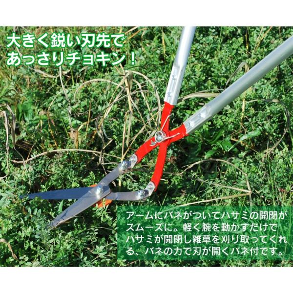 草刈り鋏 ハサミ 立ち作業 はさみ 立刈り 長柄 草刈り機 草むしり 道具 草とり 除草道具 雑草とり 芝刈り機 草取り 家庭用 除草機 手動 芝刈り ハサミ 女性 男性 Buyee Buyee Japanese Proxy Service Buy From Japan Bot Online