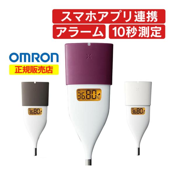 好む 実行可能 確立します 基礎 体温計 10 秒 Tokyoan Jp
