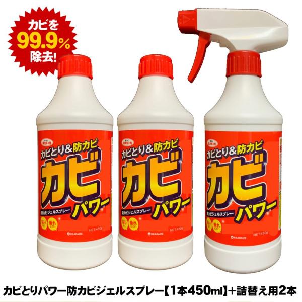 ݌Ɍ JrƂWF 1{{l2{Zbg JrXv[ JrWF WFXv[ JrƂp [ hJr s^bƖ^Cv 1{ ySTKz