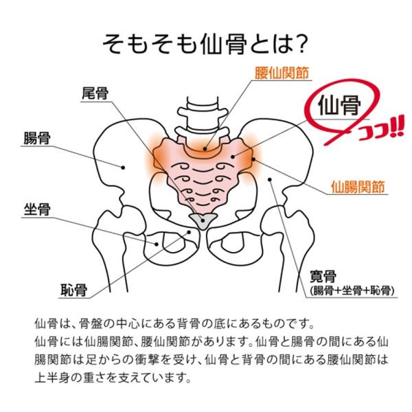 ストレッチグッズ 腰 腰 リラックス 腰痛 仙骨 仙腸関節 ほぐし ぽっこりお腹 肩甲骨 肩こり 背中 プロイデア 腰痛対策 座骨神経痛 産後 コシレッチ Buyee Buyee Jasa Perwakilan Pembelian Barang Online Di Jepang