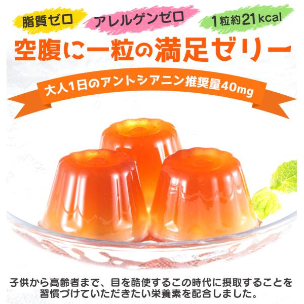 ゼリー 子供用 おやつ お菓子 きさポン キャラクター ゆるキャラ お菓子 栄養ゼリー ボトル入り 50粒 栄養ゼリー 脂質フリー アレルゲンフリー 脂質ゼロ Buyee Buyee Japanese Proxy Service Buy From Japan Bot Online