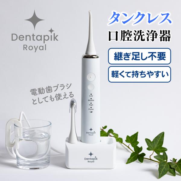 口腔洗浄器 タンクレス 電動歯ブラシ 2in1 2way 歯茎ケア 歯垢除去 歯間洗浄機 口内洗浄機 口腔洗浄機 ジェット usb充電式 コードレス