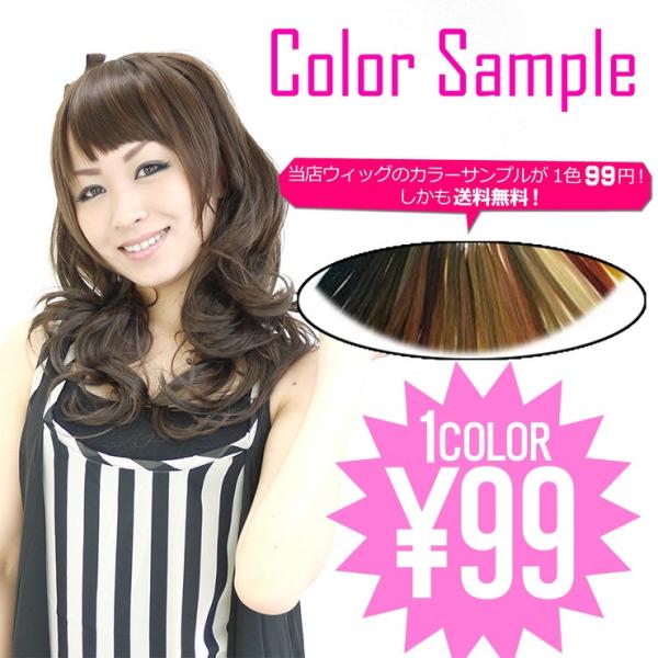 Air Rich エアリッチ ウィッグ 女性用 ブラウン（抗菌防臭＋UV