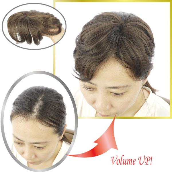 ウィッグ 部分ウィッグ 白髪隠し 送料無料 ヘアピース トップピース トップカバー ウイッグ 白髪かくし Toupee