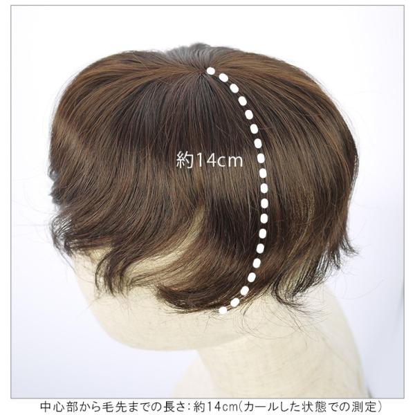 ウィッグ 部分ウィッグ 白髪隠し 送料無料 ヘアピース トップピース トップカバー ウイッグ 白髪かくし Toupee Buyee Buyee 일본 통신 판매 상품 옥션의 대리 입찰 대리 구매 서비스