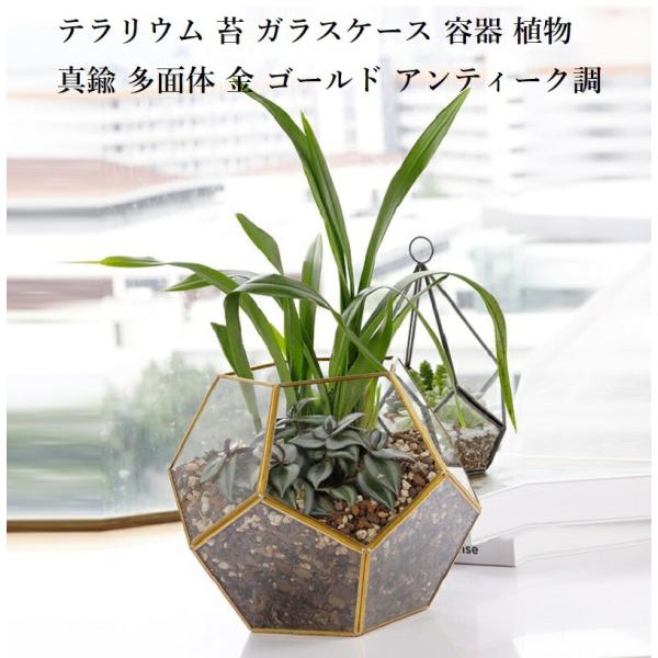 wigggy_wigggy-802964