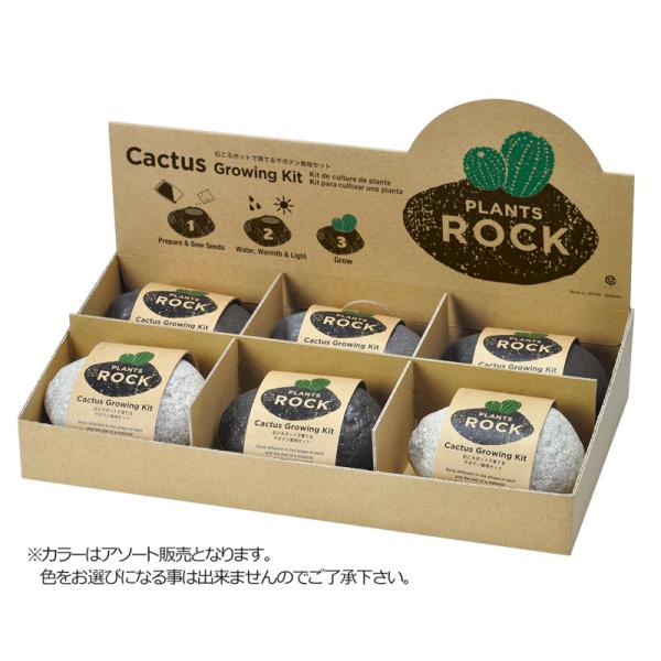 サボテン 種の人気商品 通販 価格比較 価格 Com