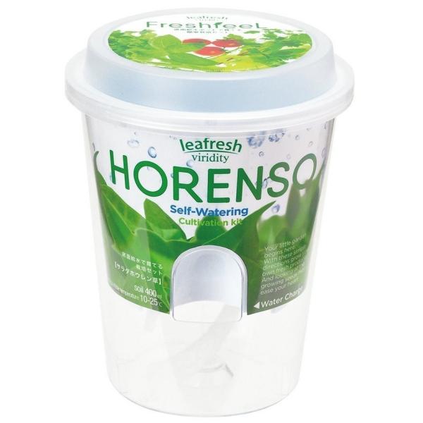 GD-81902 tbVtB[ T_zE\E     ϗtA