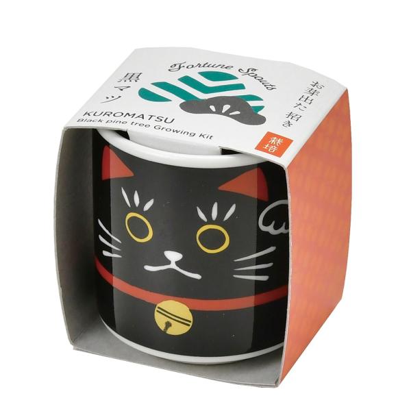 V| GD-91402 ł傱 L  ͔|Zbg Mtg K[fjO CeA