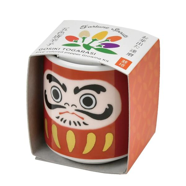 V| GD-91501 ł傱 B  ܐFƂ炵͔|Zbg